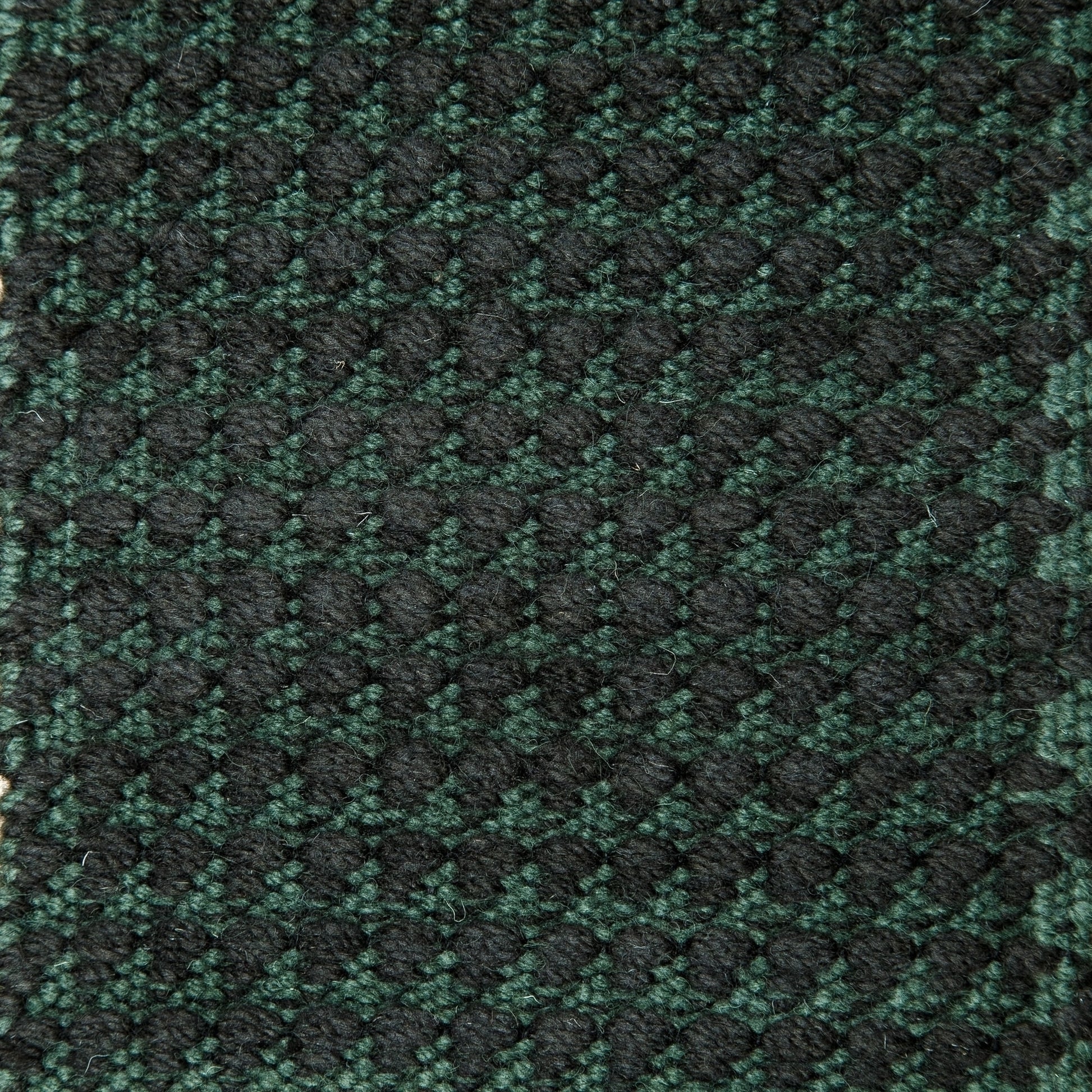 Dog Tooth