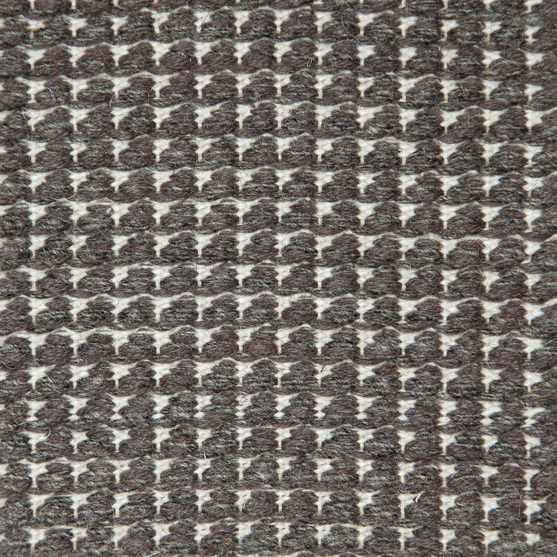 Dog Tooth