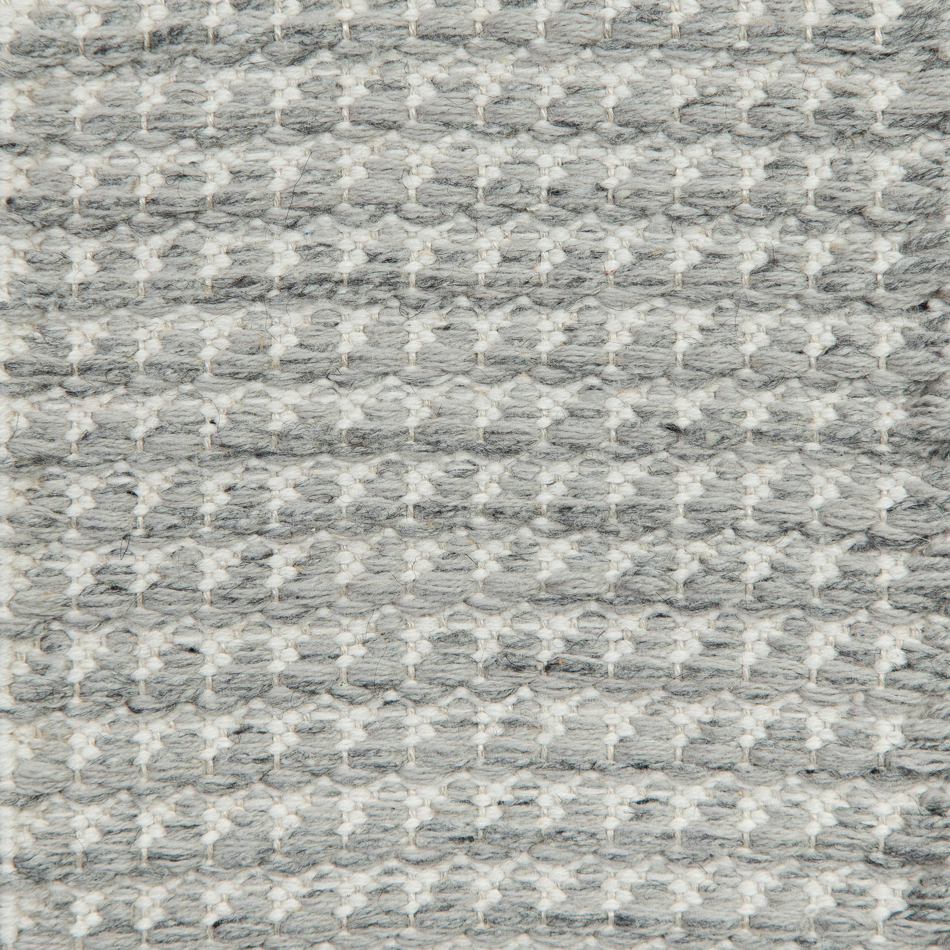 Dog Tooth