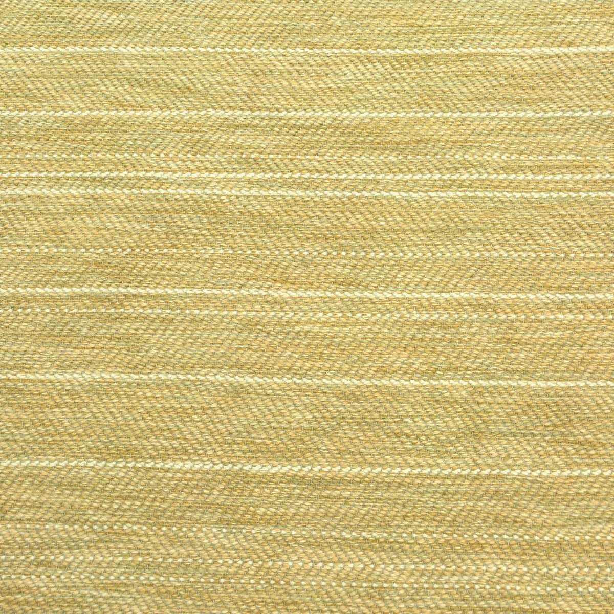 Snow and Coal – Yellow